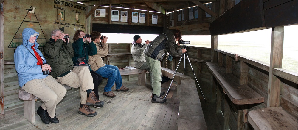 Fishing & Birding